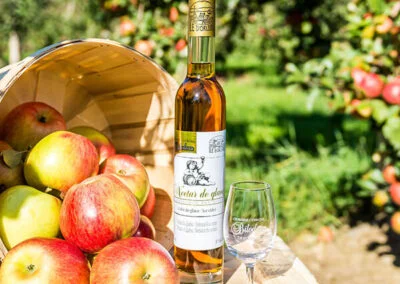 Notre fameux Nectar de Glace