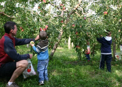 Autocueillette en famille