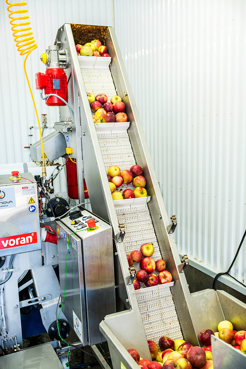 Ascenseur pour le pressage de pomme